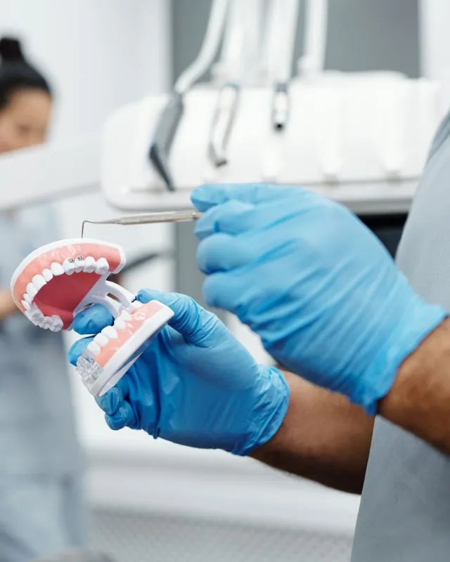 Odontólogo mostrando un modelo de dentadura